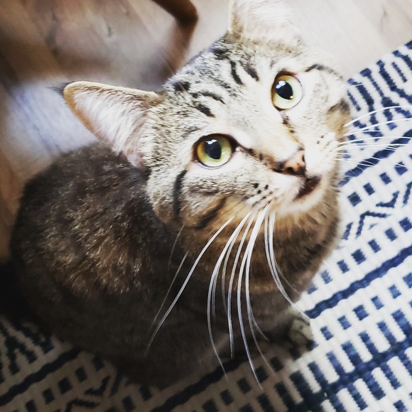 Meet your Posher, Karen - Picture 1 of 1